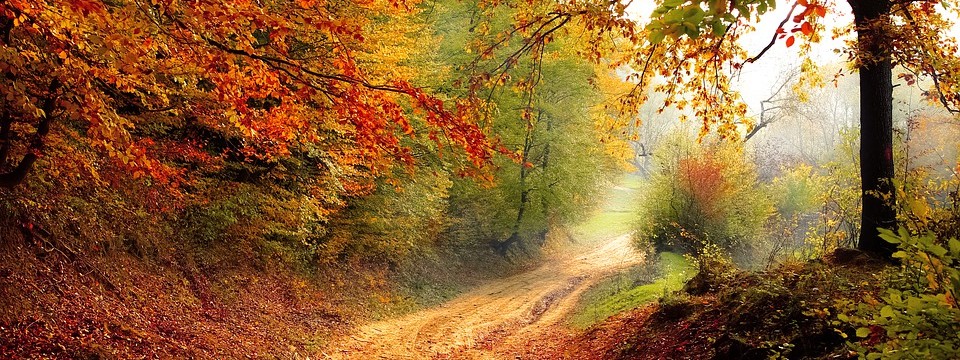 road-1072823_960_720